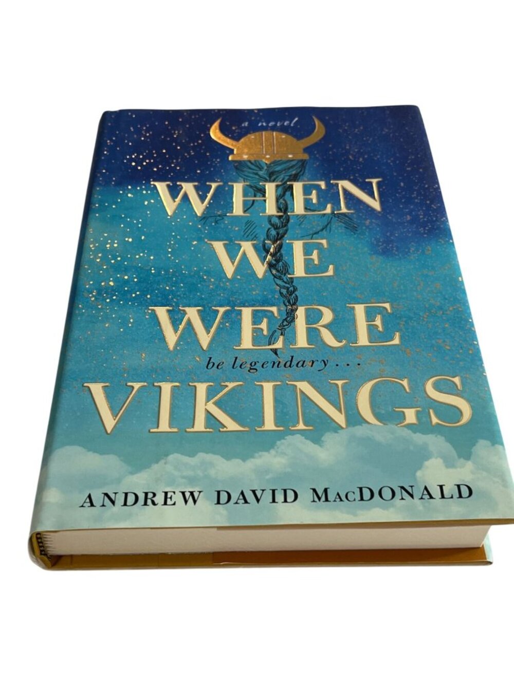 When We Were Vikings Andrew David MacDonald Book Hardcover Novel